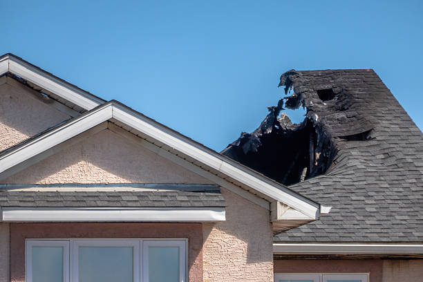 Top rated local Odor Removal specialists in Prior Lake, MN